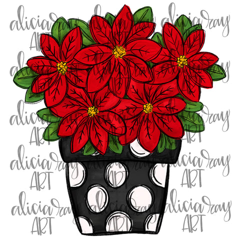 Poinsettia