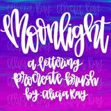 Moonlight Procreate Brush