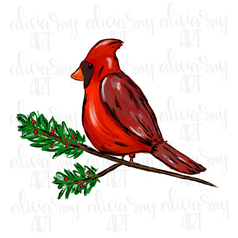 Cardinal Red Bird