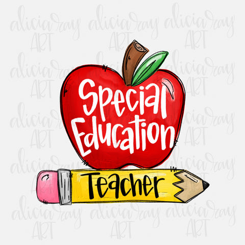 Special Education Teacher