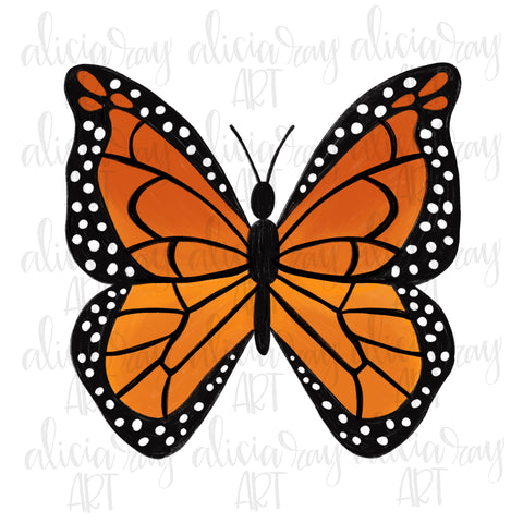 Monarch Butterfly