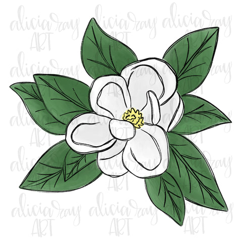 Magnolia