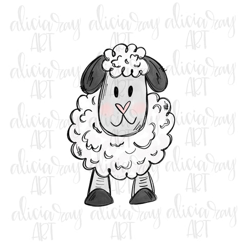 Sheep