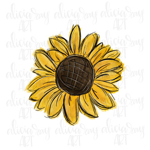 Sunflower
