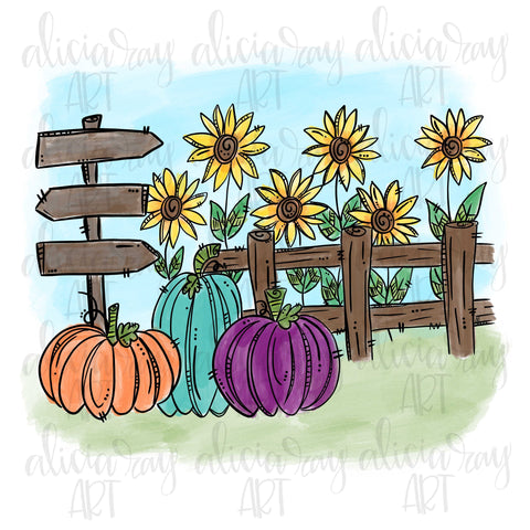 Blank Pumpkin Patch