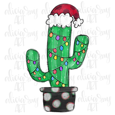 Christmas Cactus